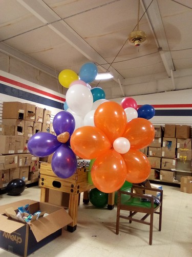 Palloncini dule elec - palloncini, +