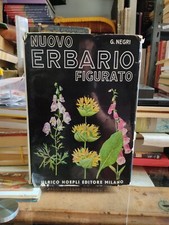 Erbario figurato Giovanni