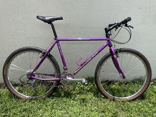 Mountain bike schwinn - mountain,