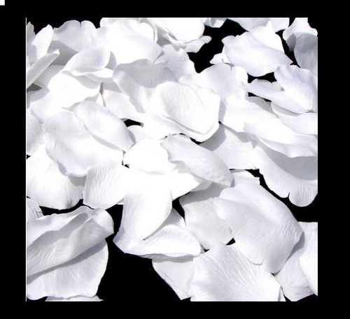 Petali rosa realistici seta - di,