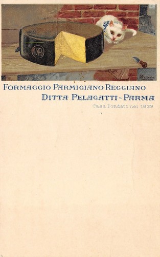 764 cartolina parma - parma, ditta