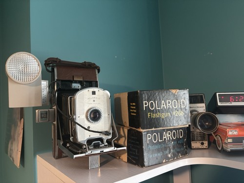 Gorgeous 1950s polaroid - gorgeous, land