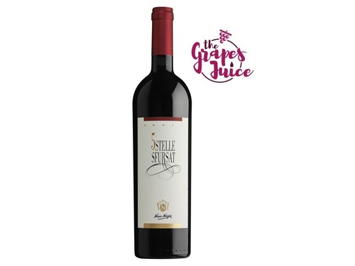 Nino negri sfursat - nino, 5