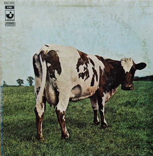 Pink floyd atom - pink, mother