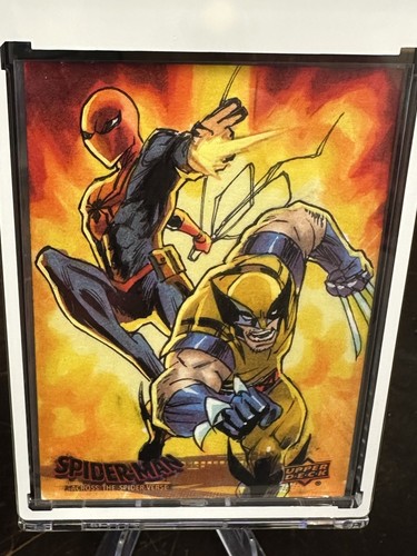 Marvel spider verse - marvel, mazzo