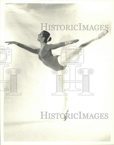 Press photo denyse bruzzese - photo,