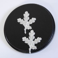 Piastra di Cinghiale Af 13 CM