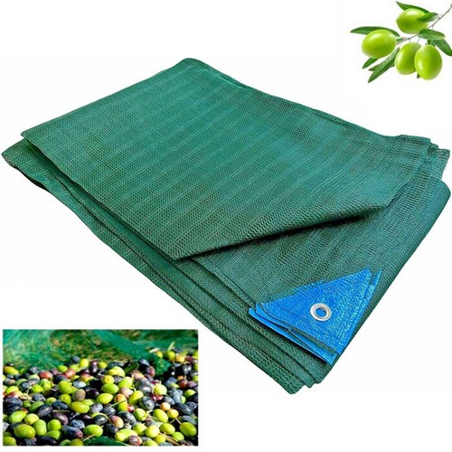 Telo rete raccolta - , olive