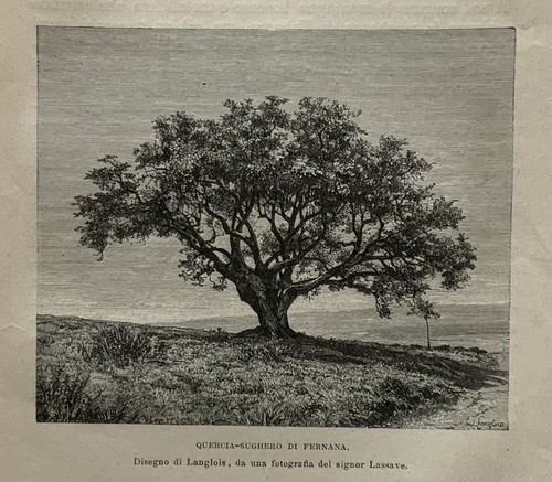 Stampa antica nord - -, africa