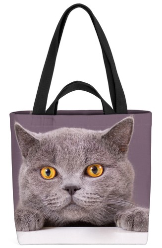 Gatto britannico pelo - , corto