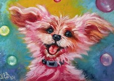 Dipinto olio originale