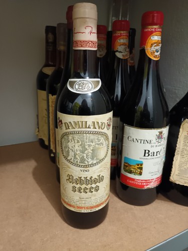 Nebbiolo secco 1974 giacomo - secco,