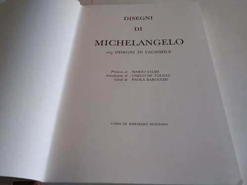 Disegni michelangelo 103 - di,