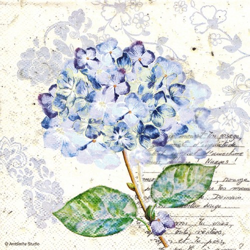 Two paper lunch napkins - paper,