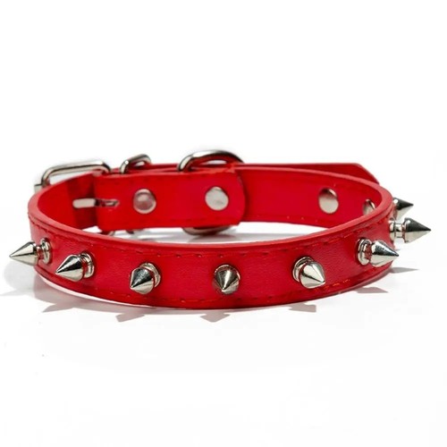 Collare cane pelle borchiata - , a