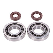 Set cuscinetti albero motore