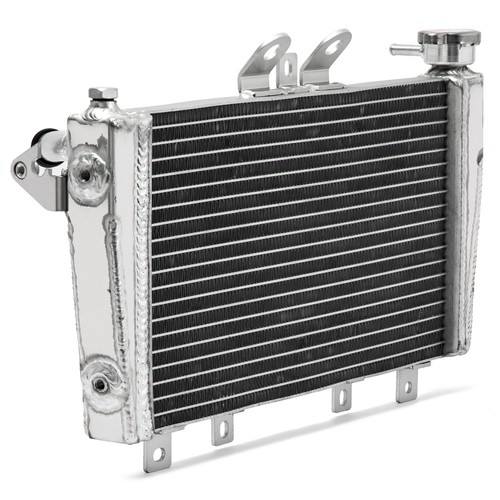 Per triumph 2010 speed - per, 06-2010