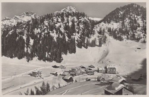 Cartolina selva 1563 - selva, m.