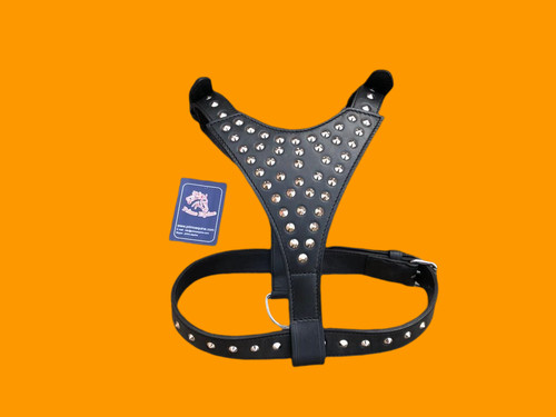 Set guinzaglio imbracatura