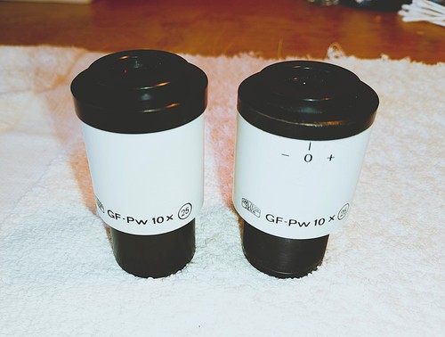 Oculari per microscopio - , carl