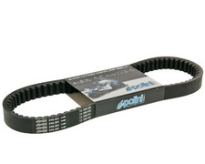 Cinghia Trapezoidale POLINI K