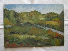 FIORENZA PAOLI - Quadro olio