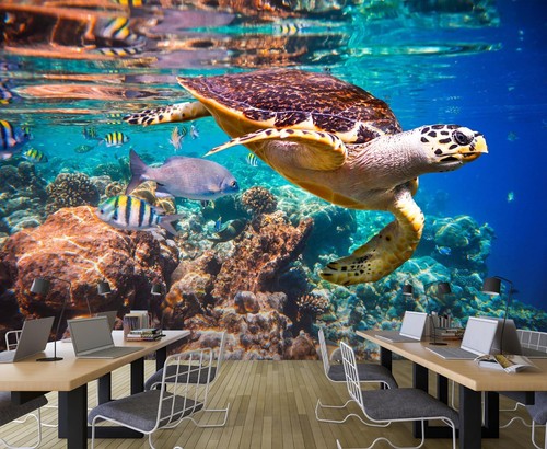 Carta parati pesce - da,