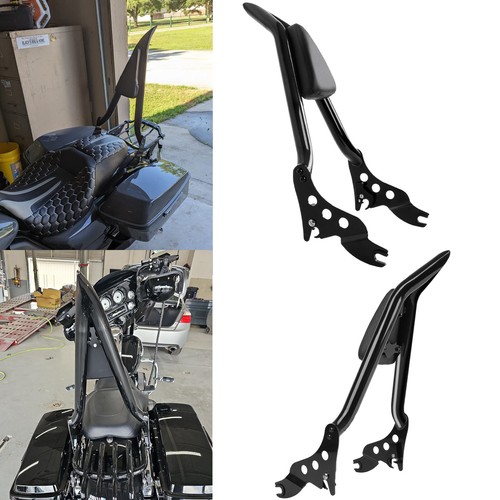 Passenger backrest sissy - backrest,