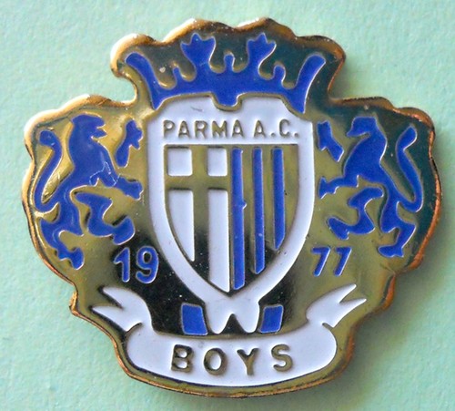 Distintivo spilla pin badge - pin,