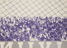  Dino BOSCHI "Distinti