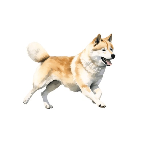 Adesivi akita inu - adesivi,
