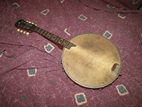 Mandolino banjolin banjo - banjolin,