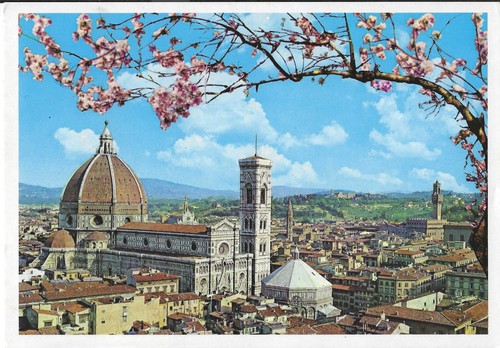 20009 postcard showing - 20009,