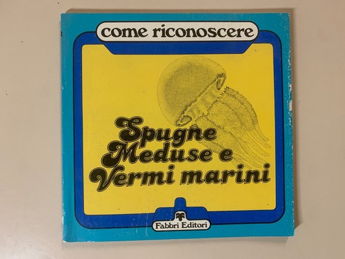 Come riconoscere spugne - come,