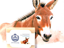 Sapone Artigianale al LATTE