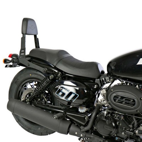 Sissy bar custom - sissy,