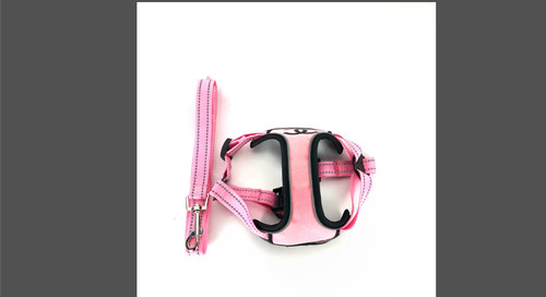 Set cani lusso imbracatura - set, 2