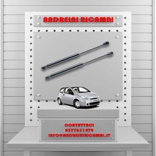 2 MOLLE A GAS BAGAGLIAIO