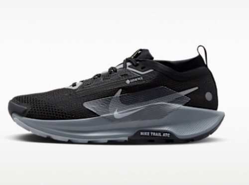 Nike pegasus running - running, shoe