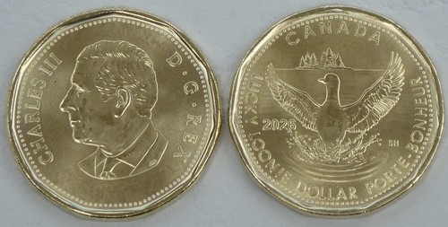 Kanada dollaro moneta - 1,