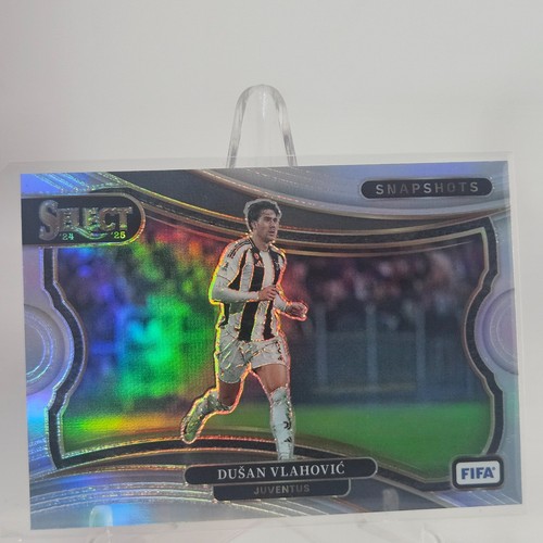 2024 panini seleziona - panini,