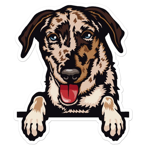 Catahoula cane leopardo - ,