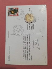 13386 Polinesia Francese