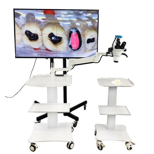 Microscopio binoculare stereo