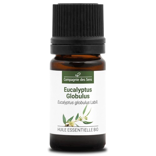 Eucalipto globulus bio - globulus, 5ml