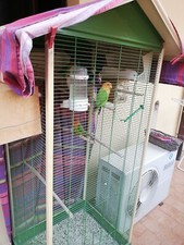 Voliera con 5 pappagalli "Inseparabili" 