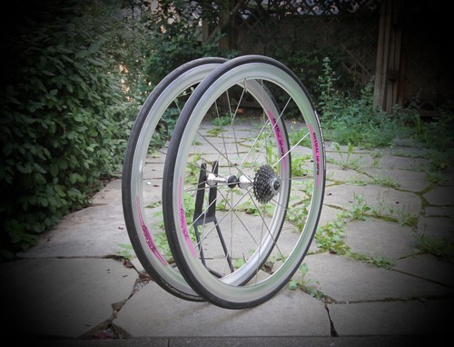 Campagnolo shamal hpw 8 - 12,