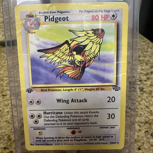 Pidgeot jungle regular - pidgeot,