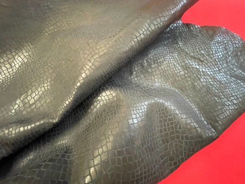 Coccodrillo nero pelli di - coccodrillo, nero,