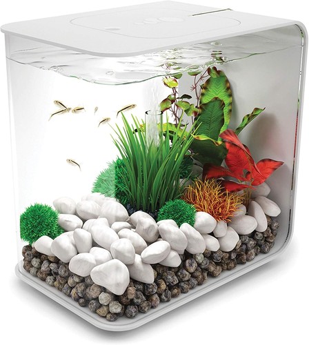 Biorb flow acquario con - 15,